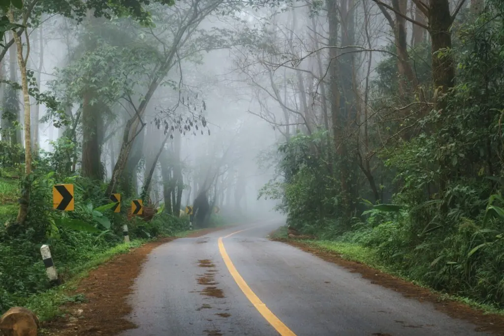 Man accidentally drives 100 miles without his wife after pulling over for a pee break - Article Image 1