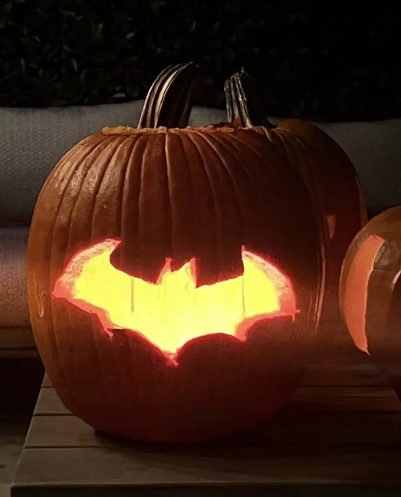 size-large wp-image-1263234649