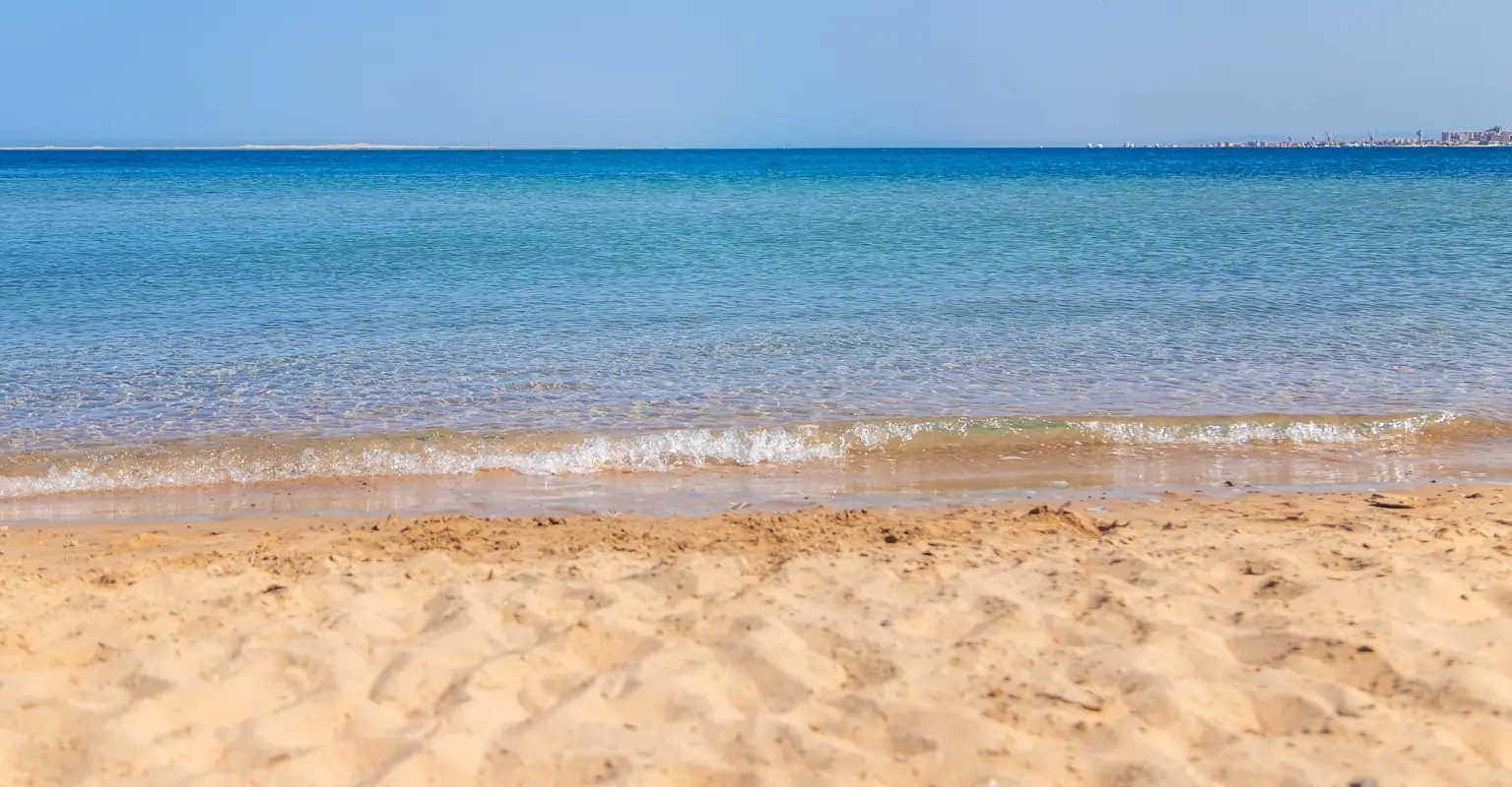 wp-image-1263234041 size-full