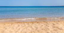 wp-image-1263234041 size-full