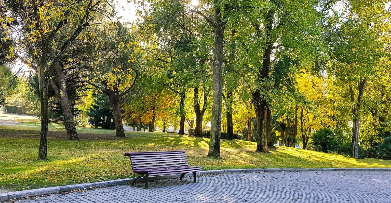 Influencer filming a livestream asks man to move from park bench - his response divides the internet