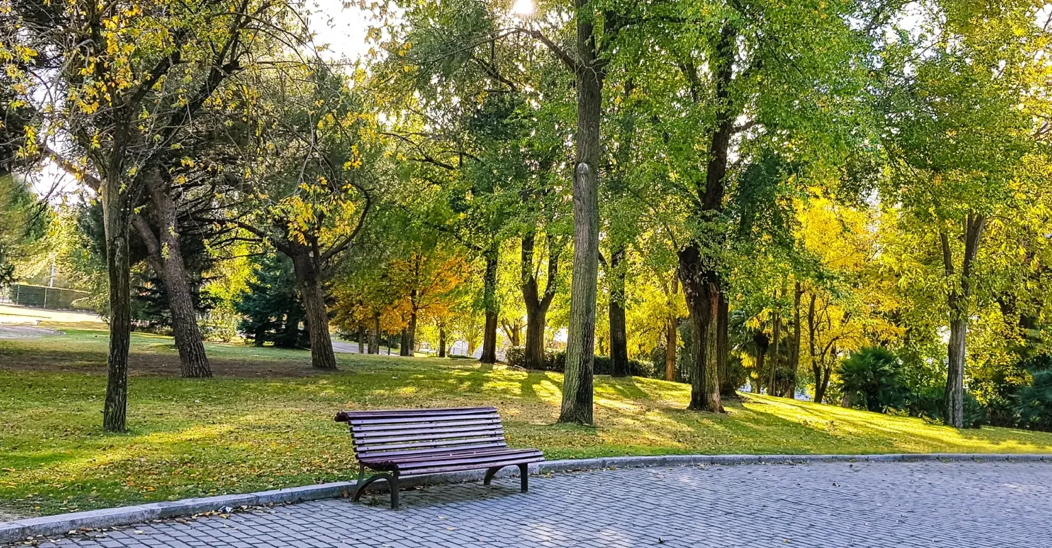 Influencer filming a livestream asks man to move from park bench - his response divides the internet