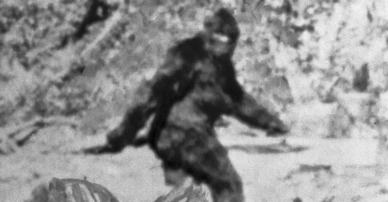 New 'Bigfoot' sighting is being called 'most convincing footage' people have ever seen