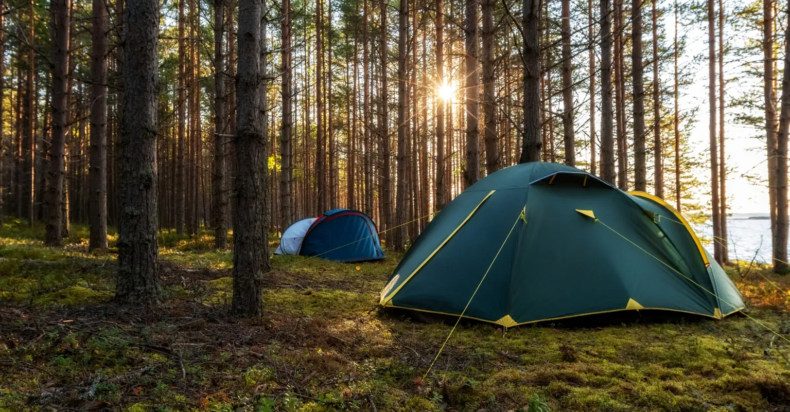 Girl, 9, is found alive after being kidnapped and held for ransom