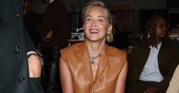 Sharon Stone, 65, hailed as a 'goddess' as she poses in seductive photo in panties and fishnets