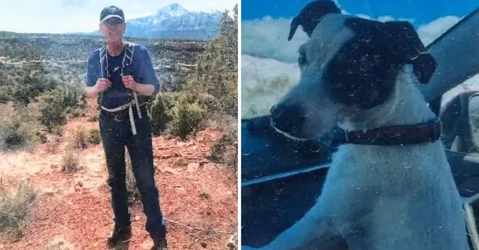 Expert reveals how family's dog could have survived for 10 weeks after owner sadly died on hike