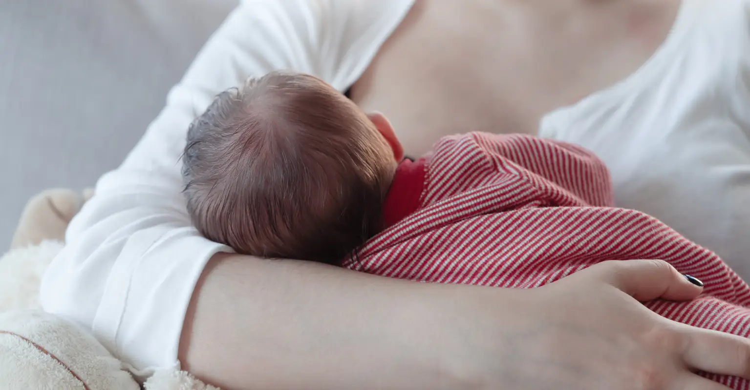 Mom starts debate after photo captures her breastfeeding baby on Disney ride