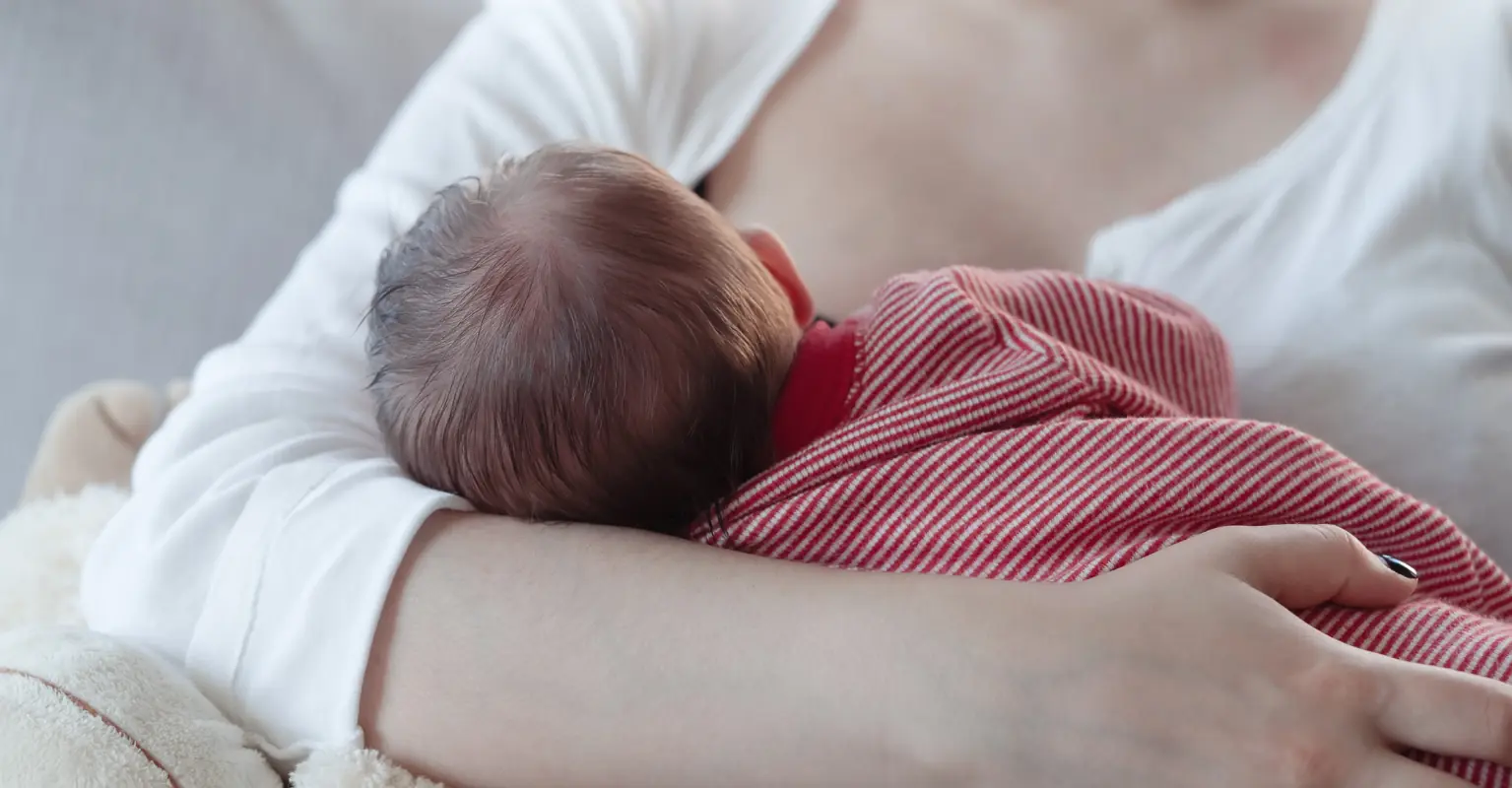 Mom starts debate after photo captures her breastfeeding baby on Disney ride