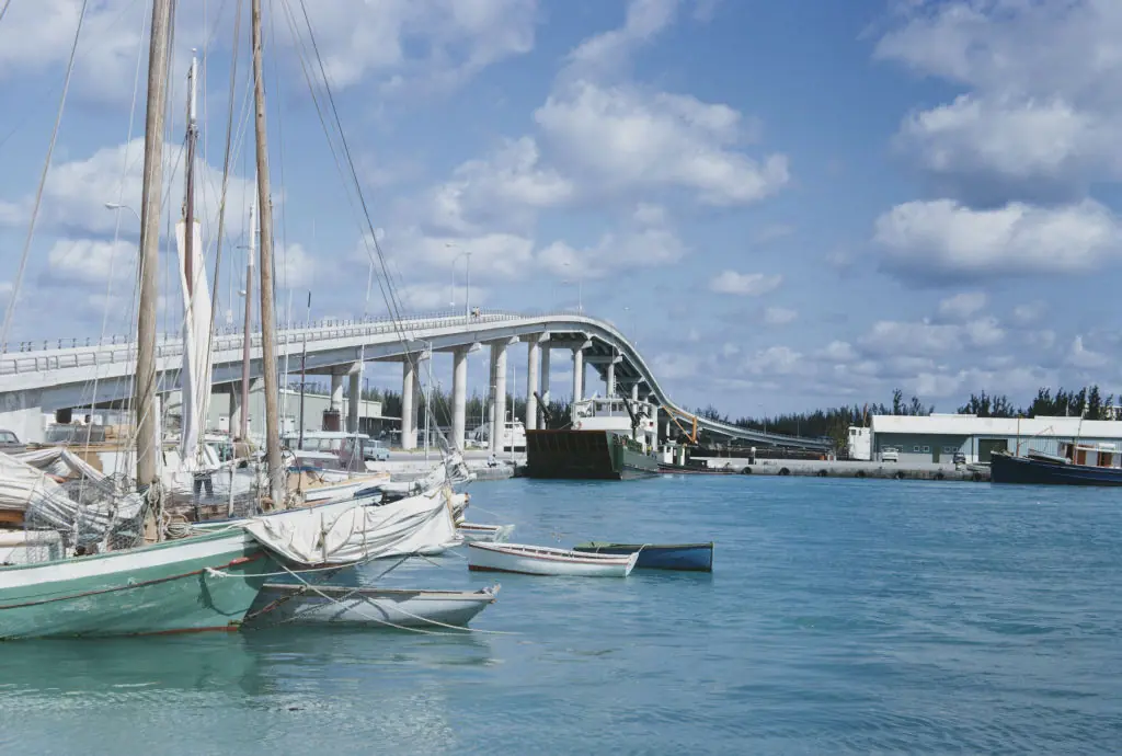 wp-image-1263236891 size-full