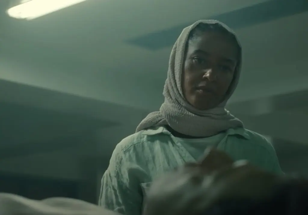 size-large wp-image-1263236512