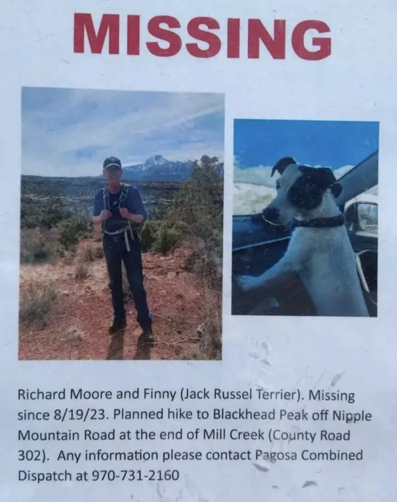 size-large wp-image-1263237272