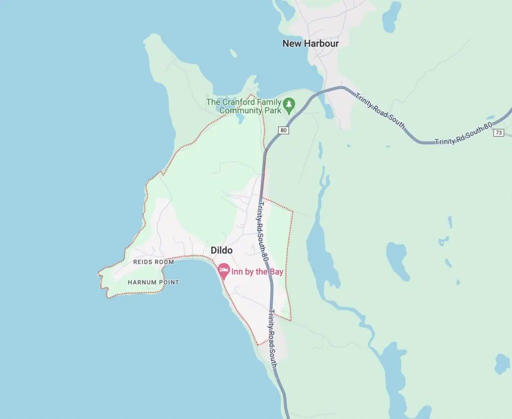 size-large wp-image-1263238732