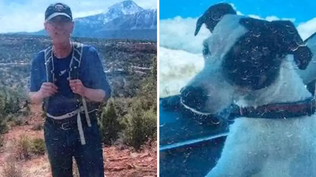 Hiker's Body Found 2 Months After Going Missing - With Surviving Dog By ...