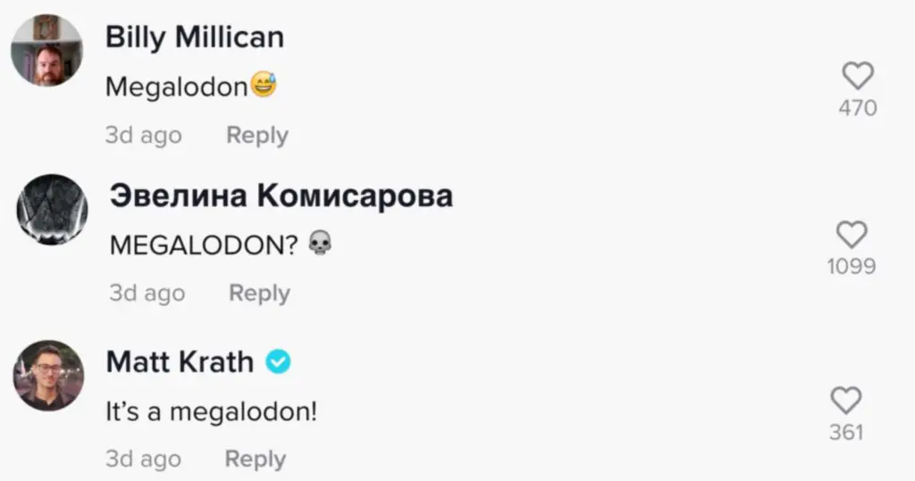 size-large wp-image-1263241654