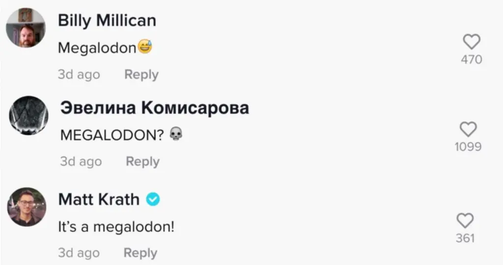 size-large wp-image-1263241654