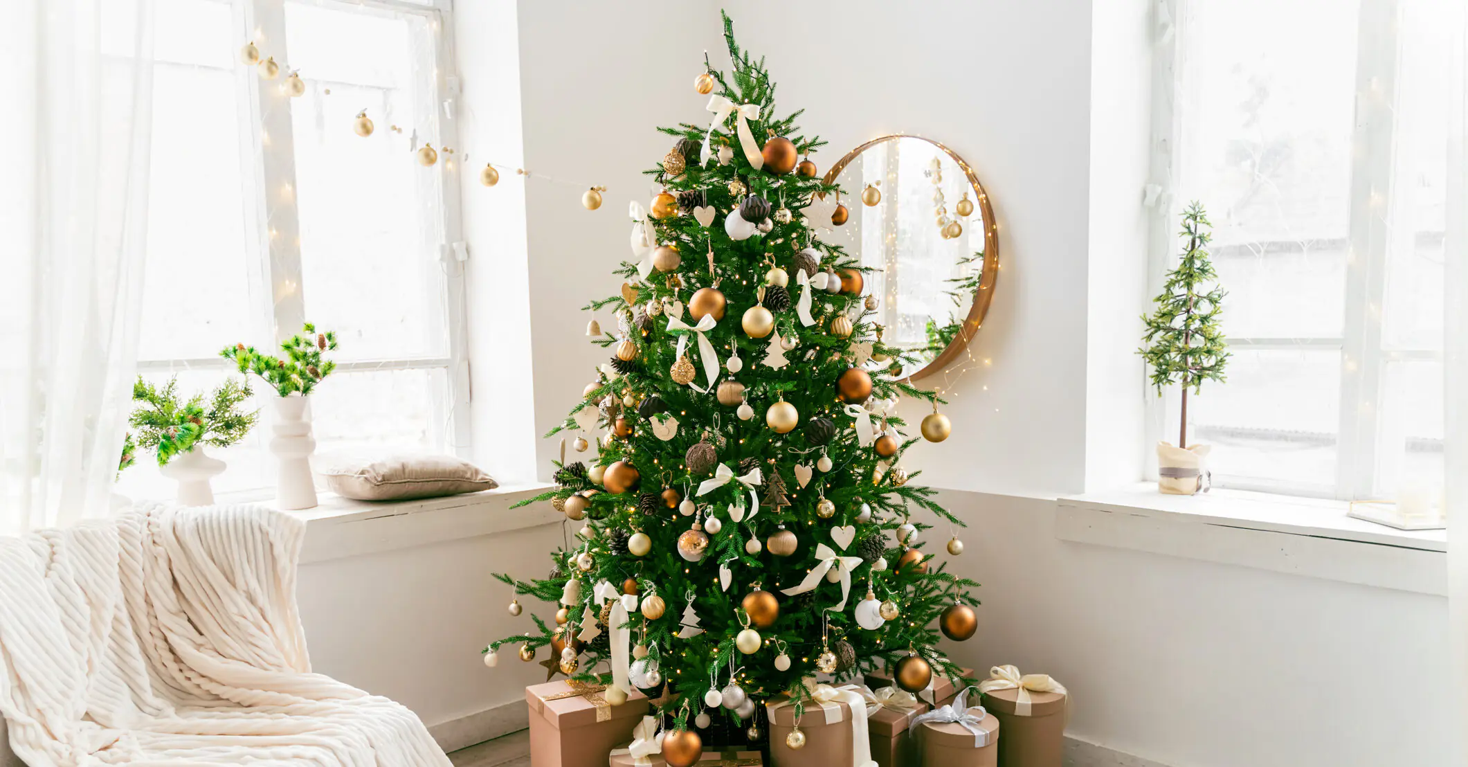 Social media users warned to check Christmas trees for clumps that 'must be removed immediately'