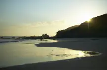 wp-image-1263239477 size-full