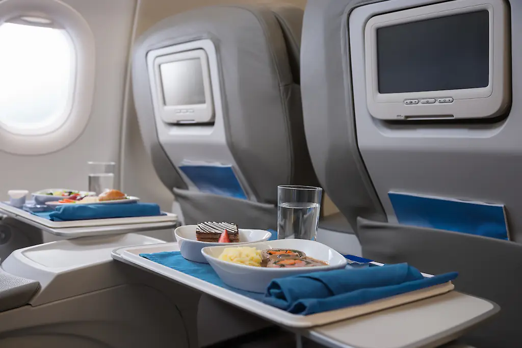 Airplane food