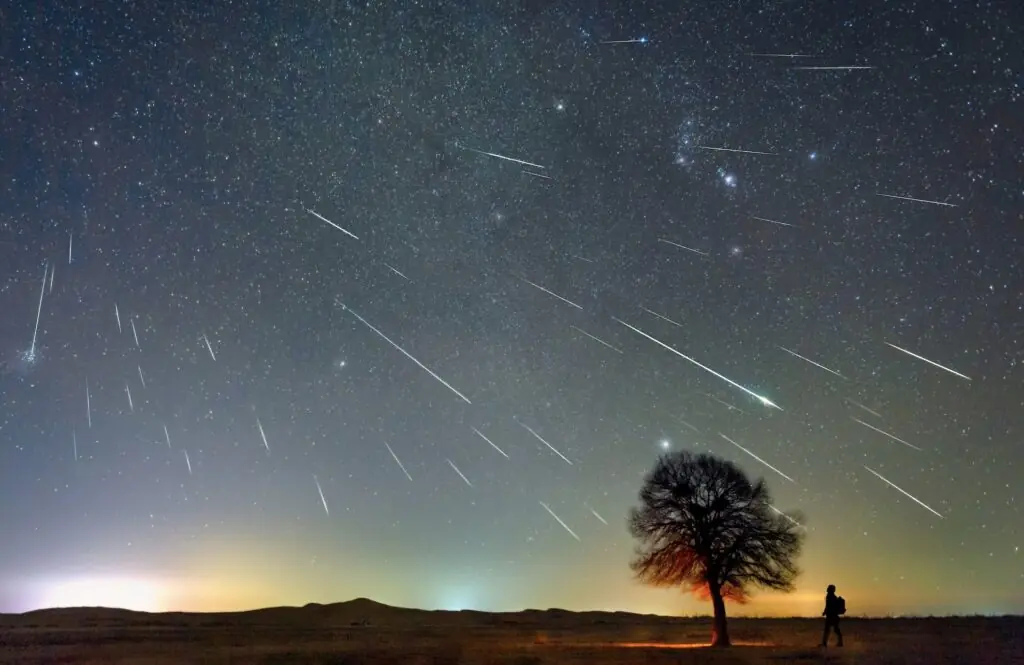 size-large wp-image-1263239027