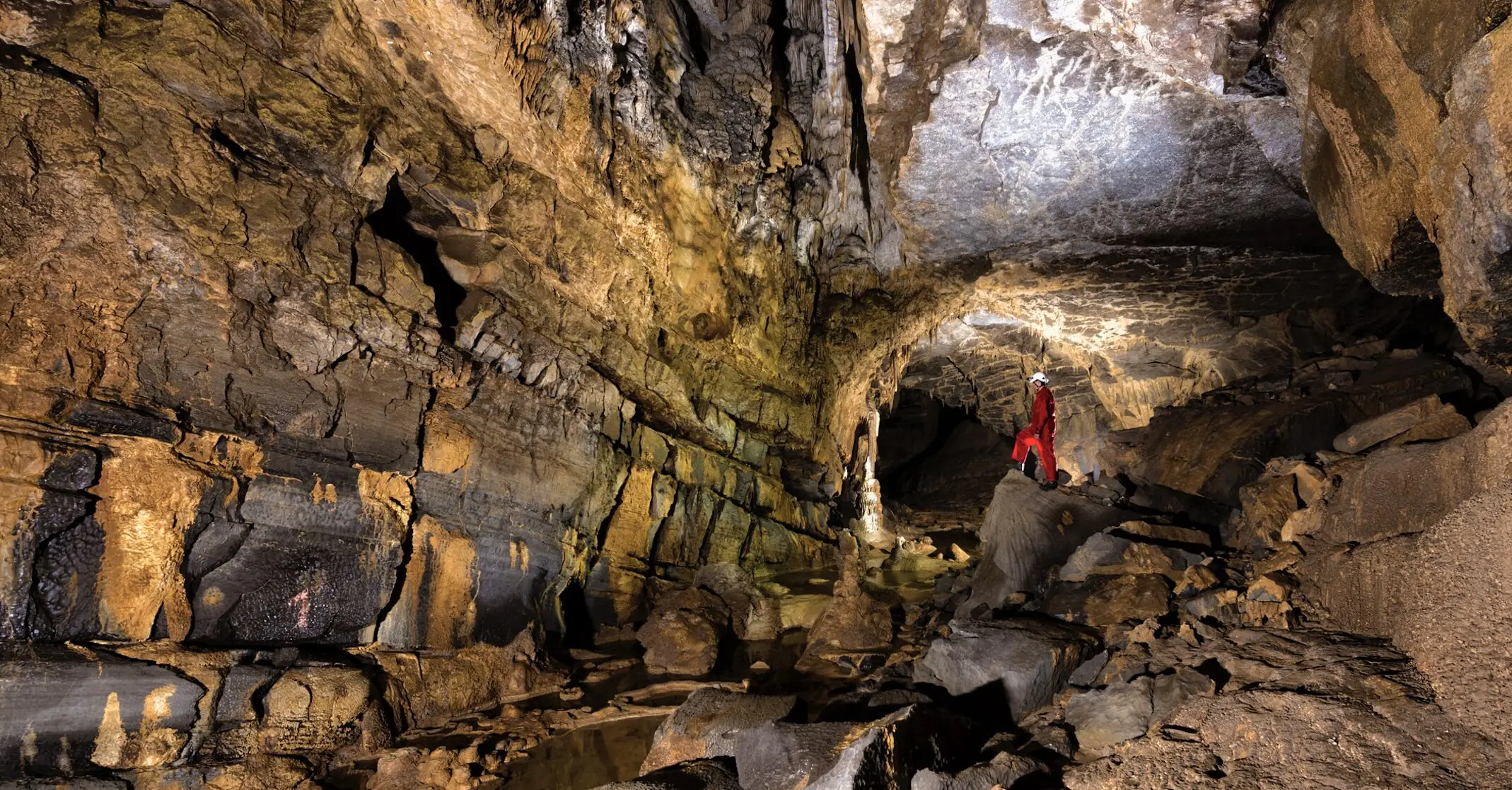 Harrowing reported last words of man who 'died worst death imaginable' revealed