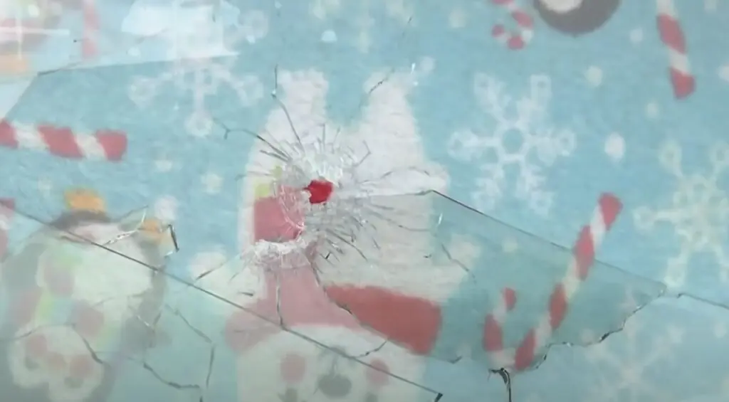 size-large wp-image-1263241474