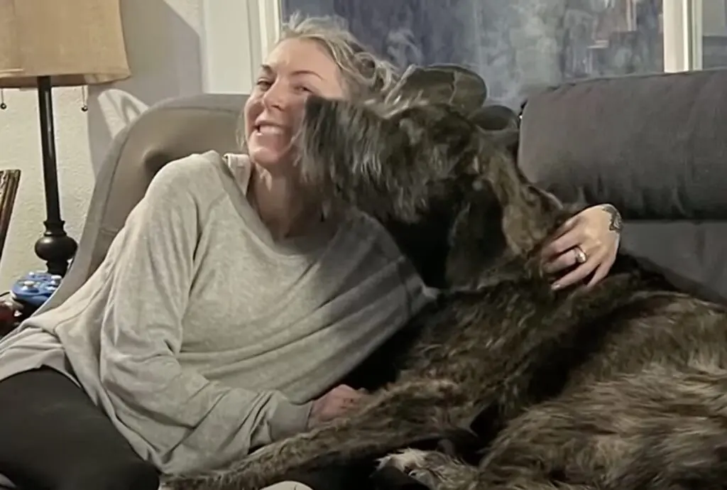 size-large wp-image-1263241897