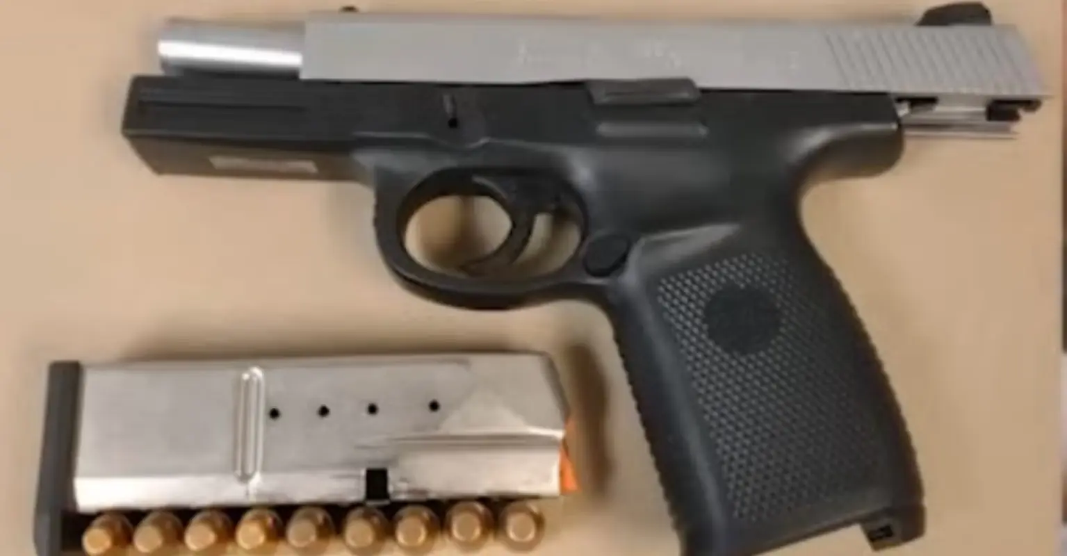 size-full wp-image-1263241845