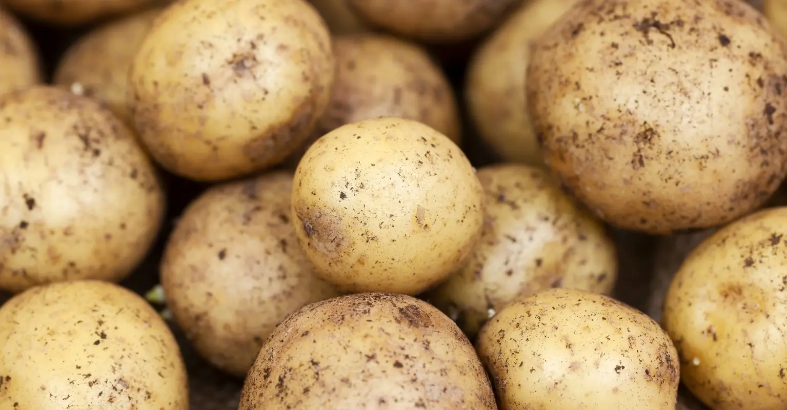 Woman left livid after getting 'hospital potato' as a Christmas bonus and being taxed on it too