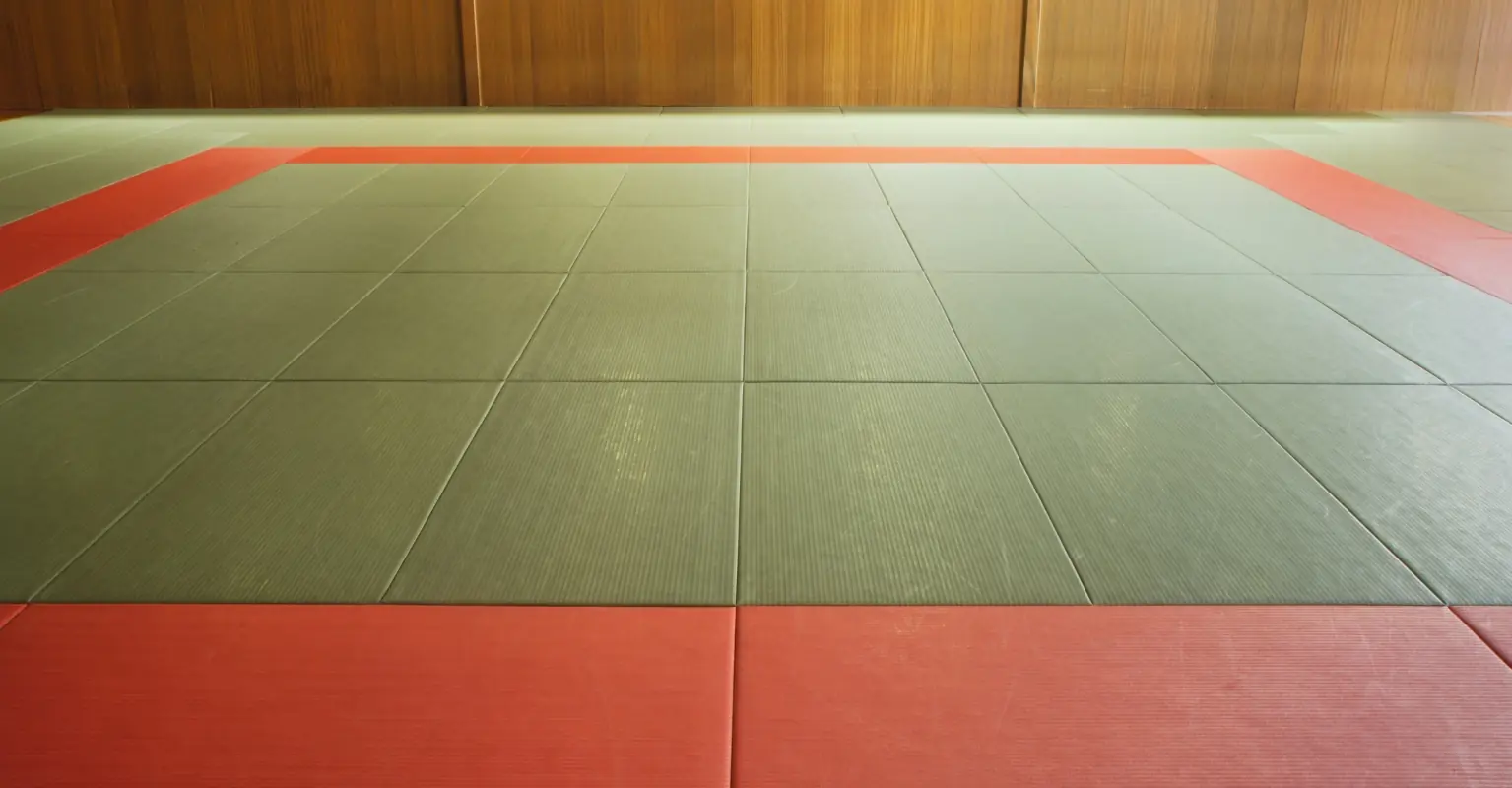 Olympic judo star Maricet Espinosa Gonzalez dies aged just 34