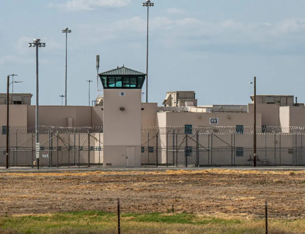 size-large wp-image-1263247004