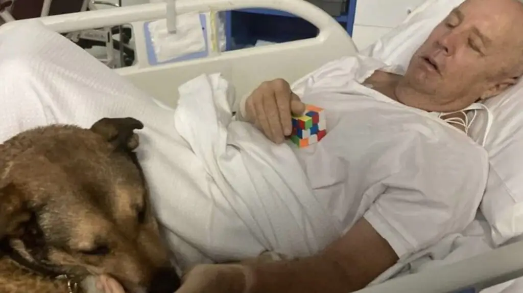 wp-image-1263245439 size-large