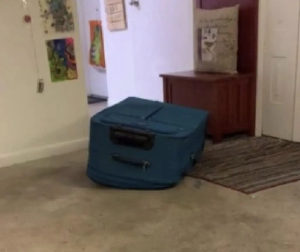 size-large wp-image-1263246573