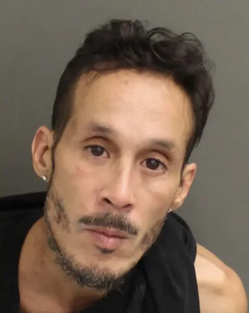 size-large wp-image-1263246575