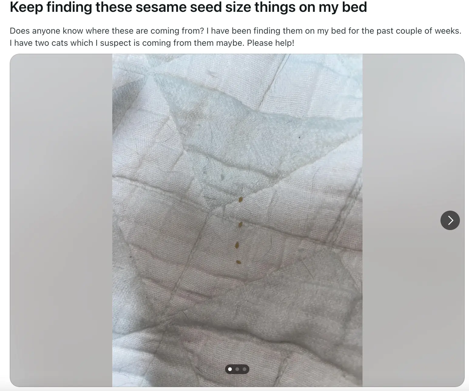 size-full wp-image-1263246751