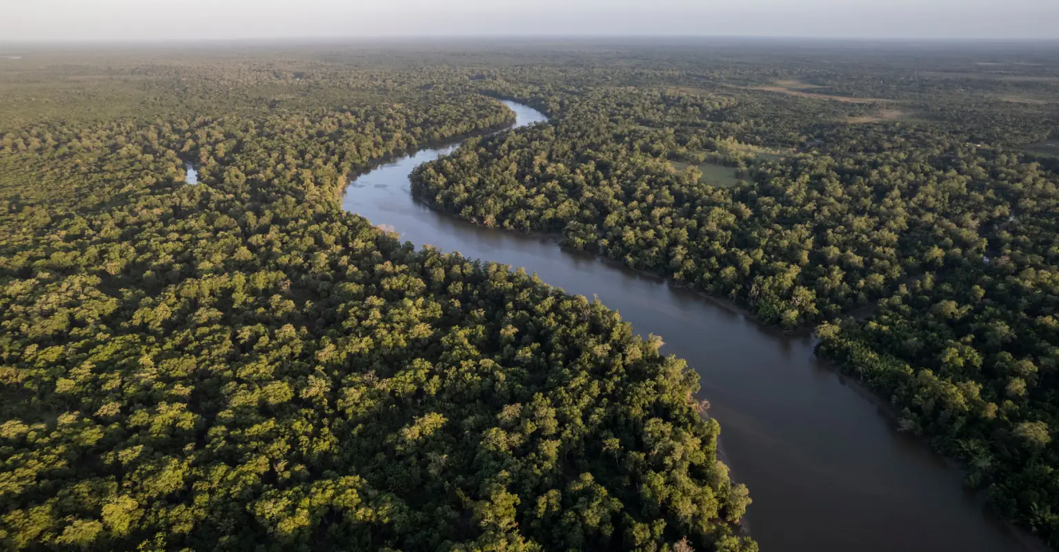 Giant ancient city that nobody knew existed is found hidden in the Amazon rainforest