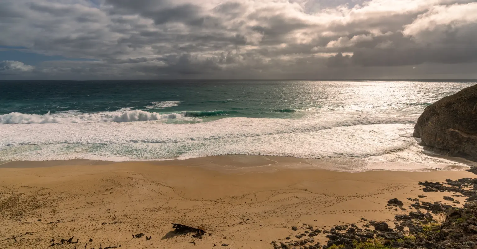 wp-image-1263245685 size-full