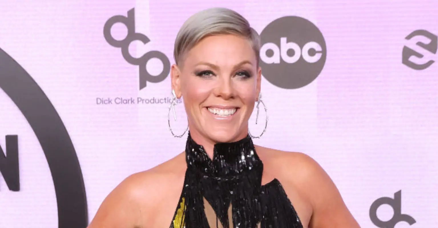 Pink left speechless in middle of concert after spotting fan's X-rated proposition to her