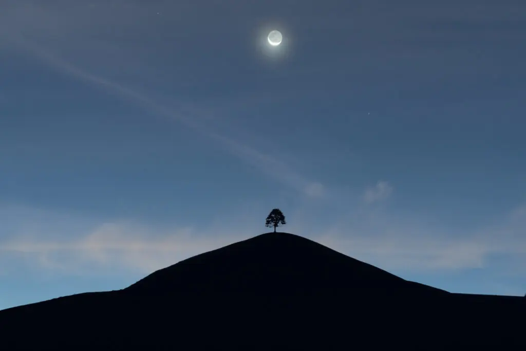 size-large wp-image-1263250325