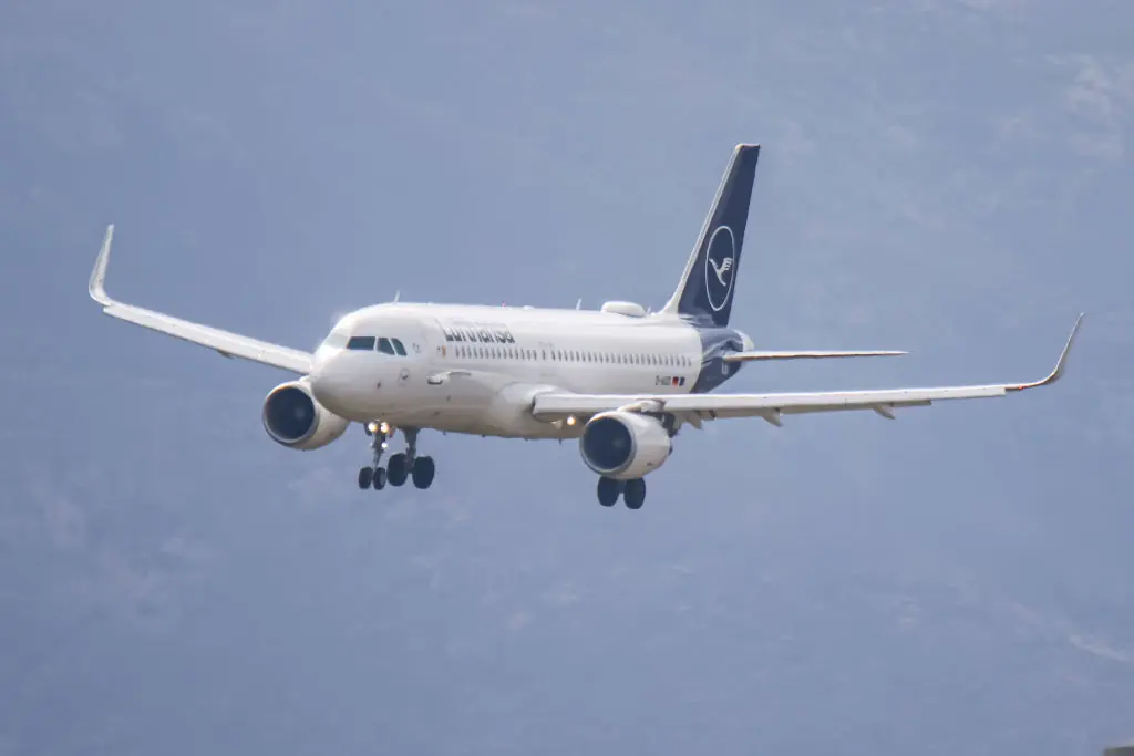 size-full wp-image-1263248381