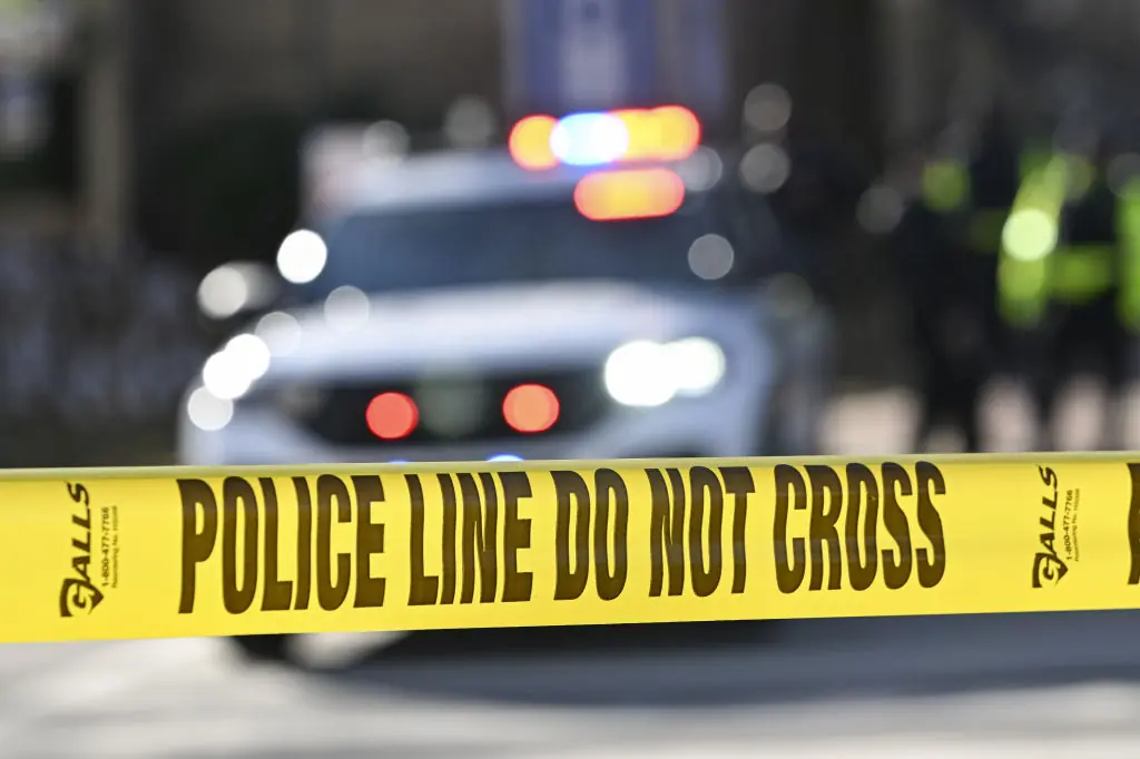 size-full wp-image-1263250554