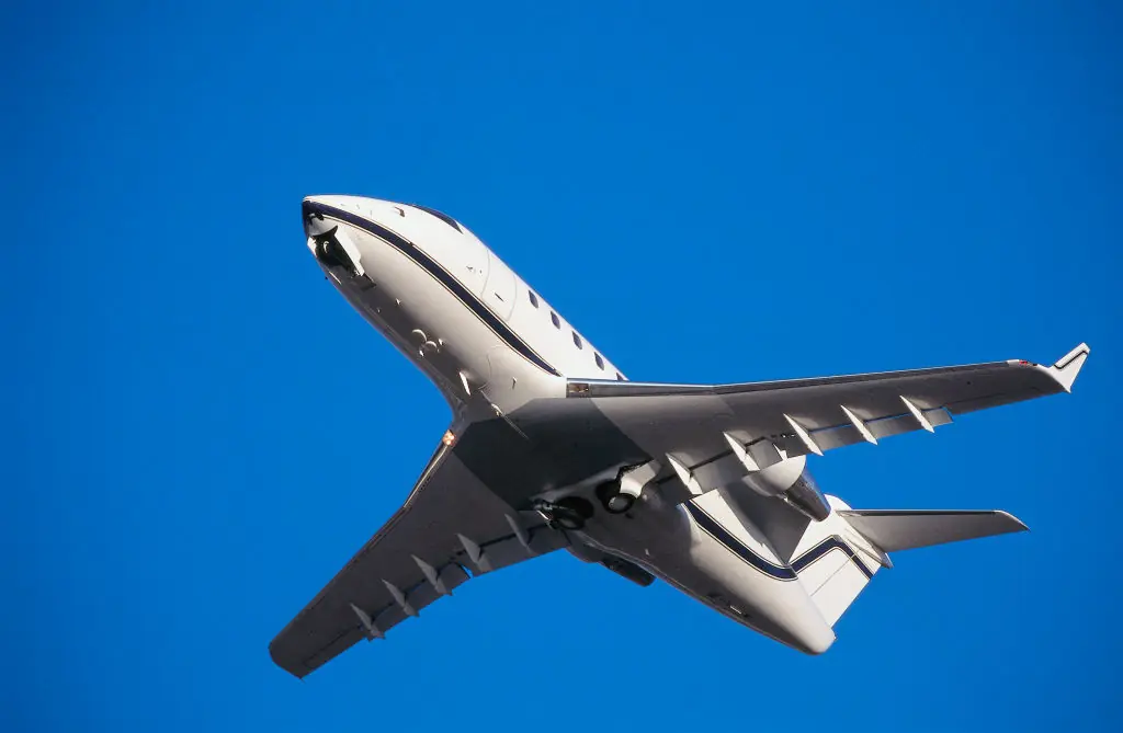 wp-image-1263248889 size-full