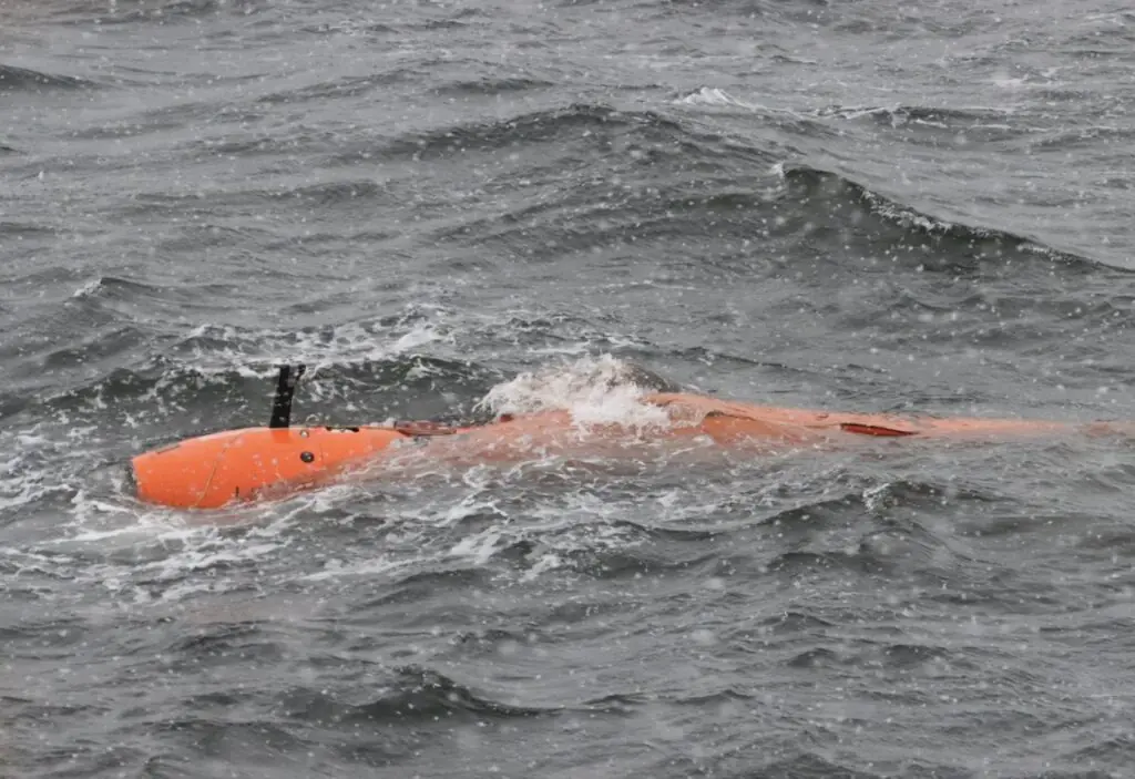 size-large wp-image-1263248187