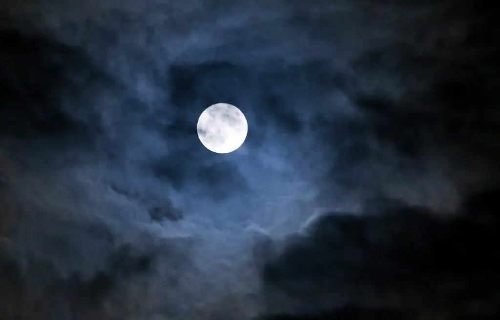 size-large wp-image-1263250326