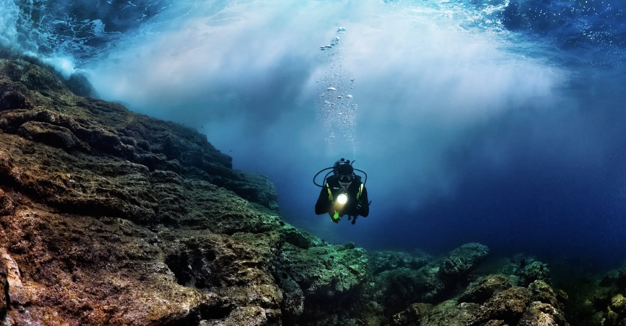 Scientists have discovered over 100 new species in deep-sea expedition