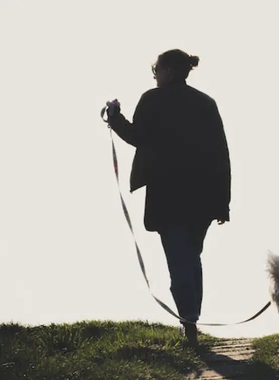 size-full wp-image-1263250694