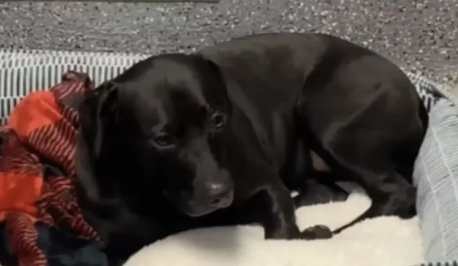 size-full wp-image-1263250810