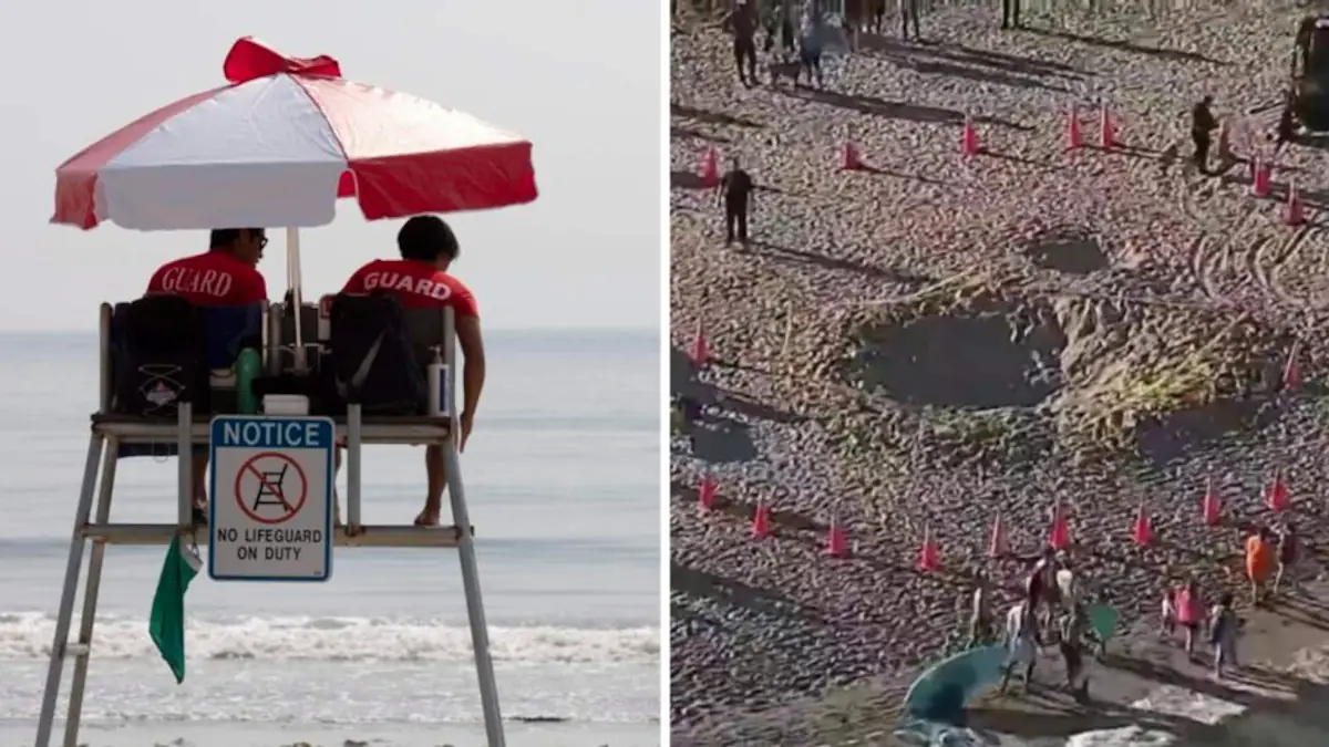Lifeguard Death Lifeguards could have prevented 7-year-old's death on Florida beach ...