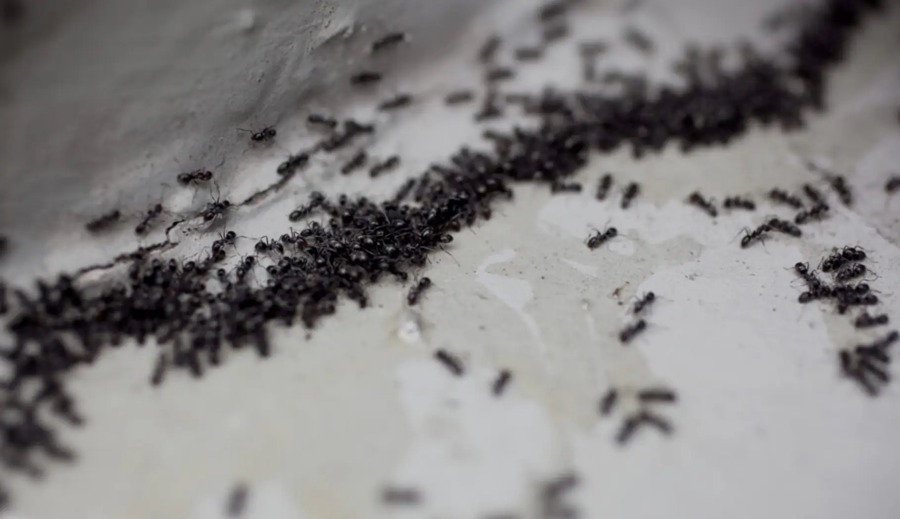 Backpacker makes horrifying discovery in bathroom just minutes after showering in there