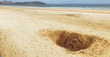 beach