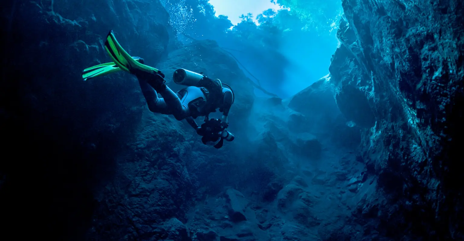 An 'entirely new form of life' may have been found in ocean as creature leaves scientists stumped